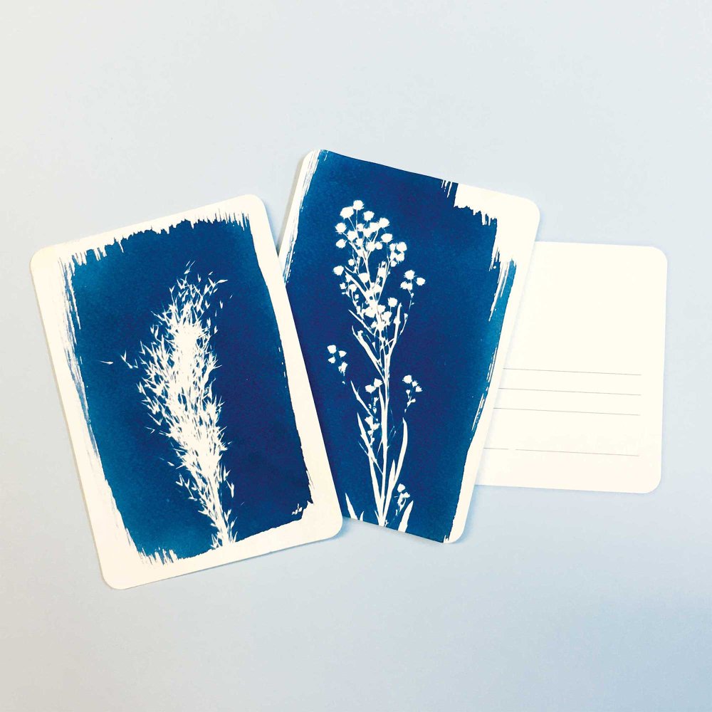 PAR Cyanotype DIY Kit - Postcard