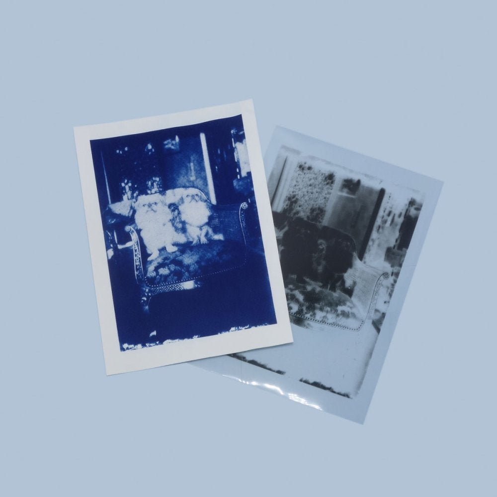PAR Cyanotype - Watercolour Postcards Refill (12 Pack)