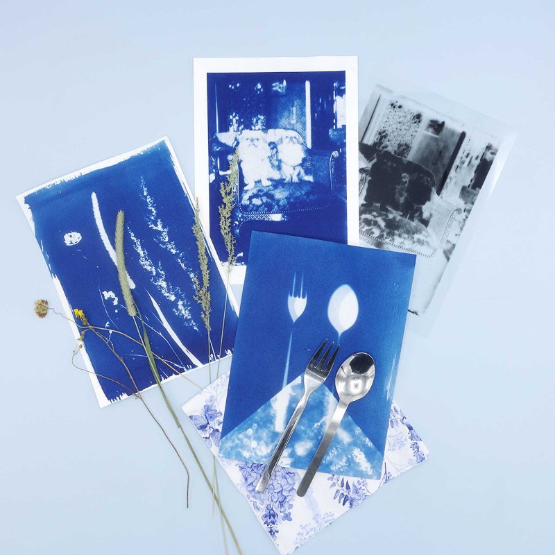 PAR Cyanotype Refills (2 x 250ml)
