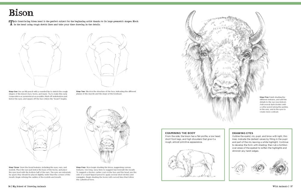 Big School of Drawing Animals Book