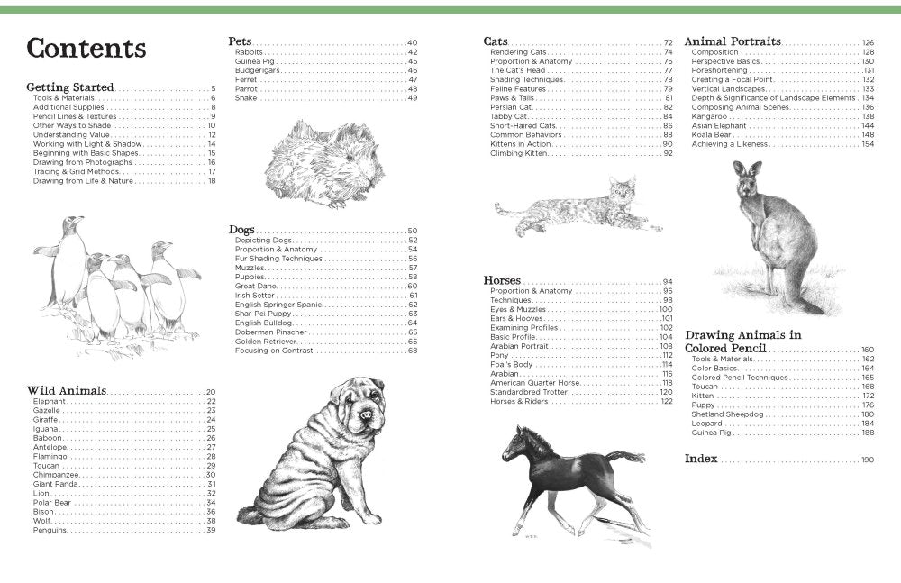 Big School of Drawing Animals Book