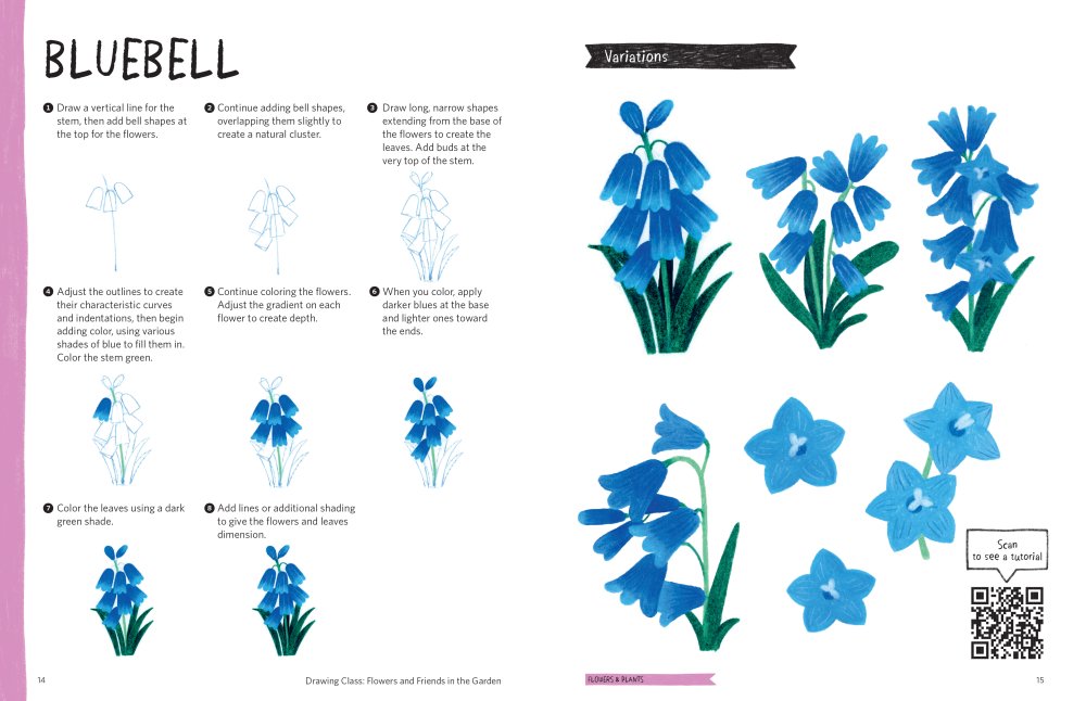 Drawing Class: Flowers and Friends In The Garden Book