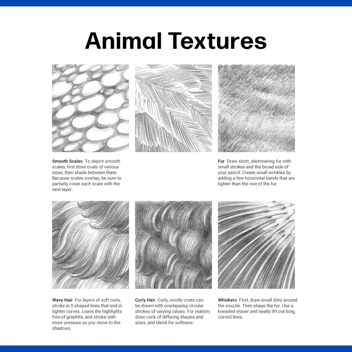 Quick Start Drawing - Animals Book