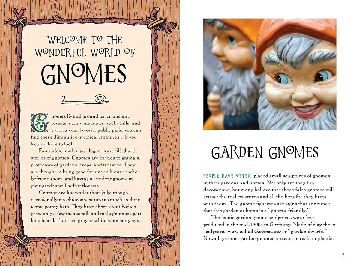 Paint Your Own Gnome at Home Kit