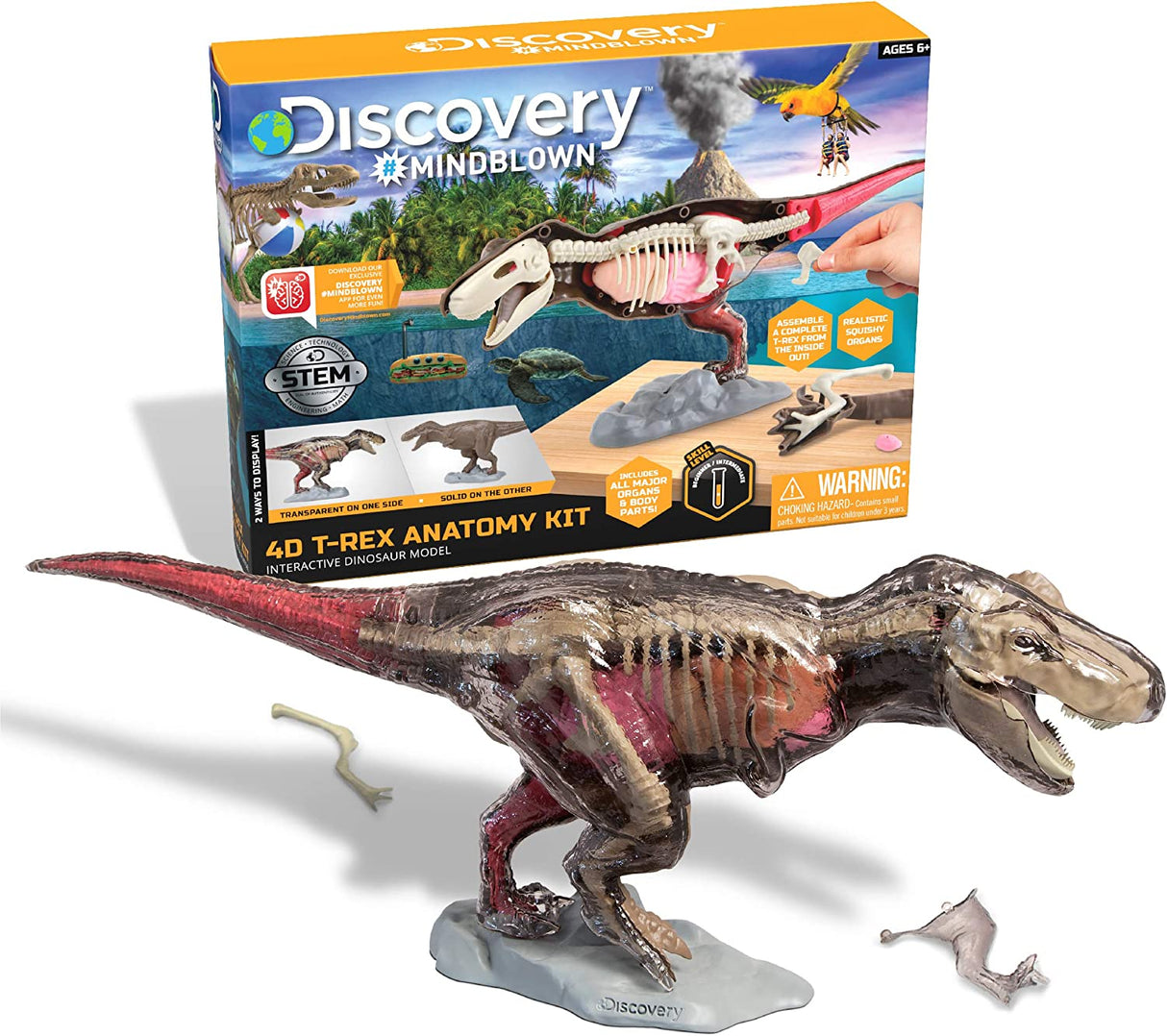 Toy AnatomyT-Rex Kit