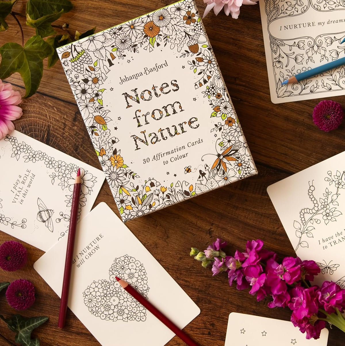 Johanna Basford's Notes from Nature: 30 Affirmation Cards to Colour