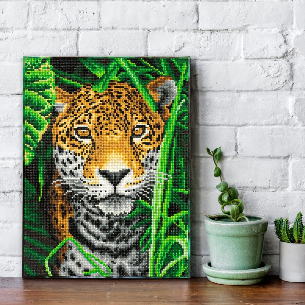 Diamond Dotz Stretched Canvas 30x40cm Kit - Jaguar Jungle