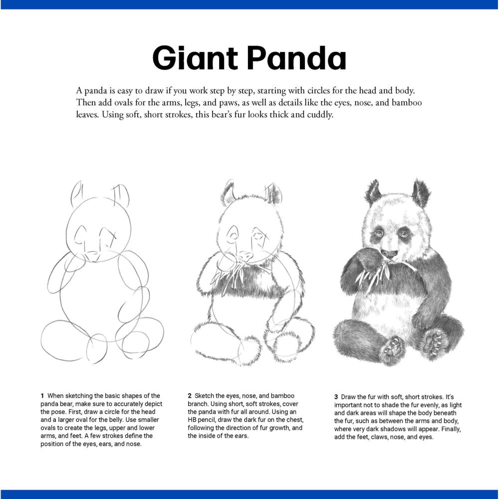 Quick Start Drawing - Animals Book