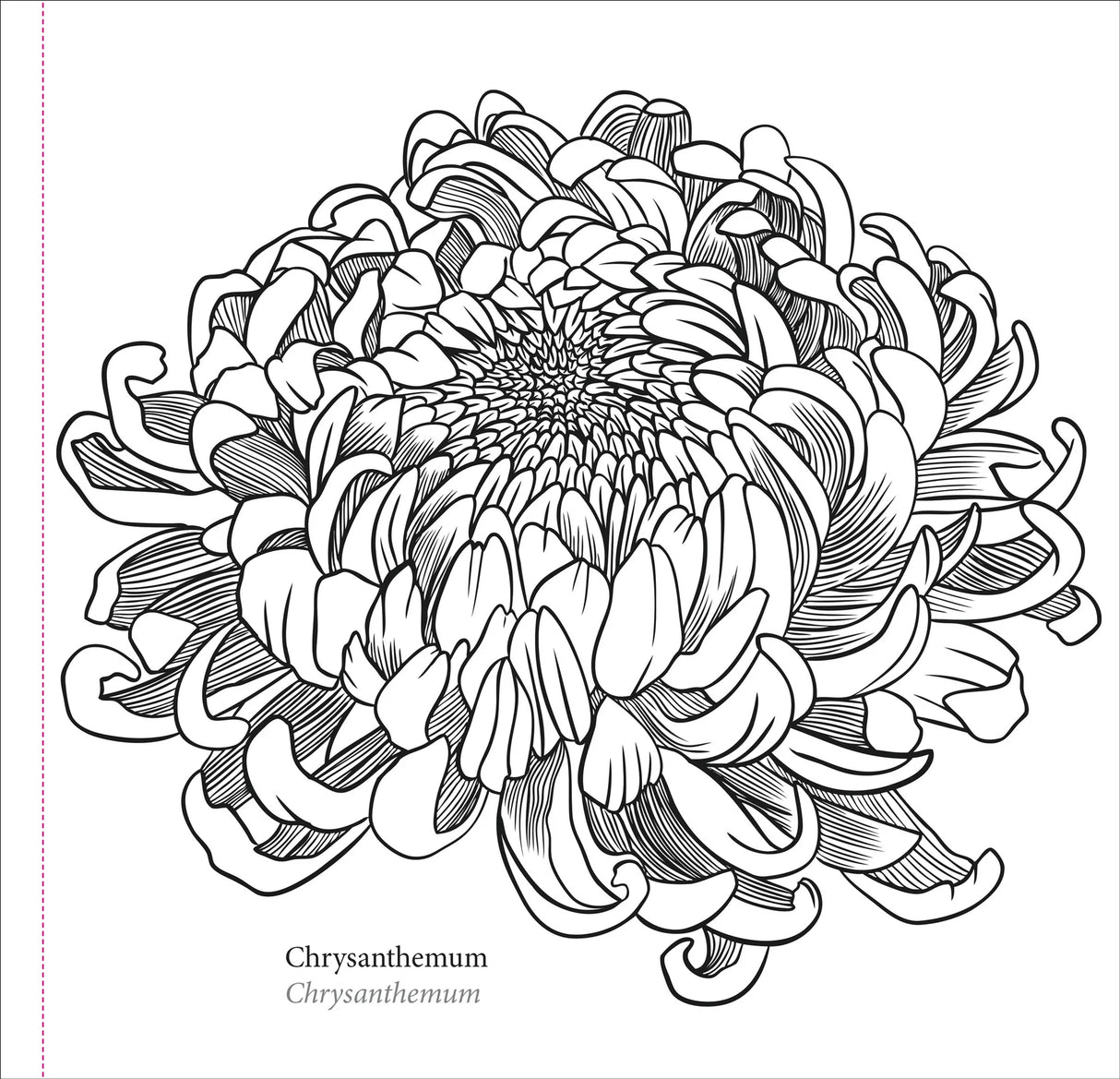 Artist's Colouring Book - Spring Blooms