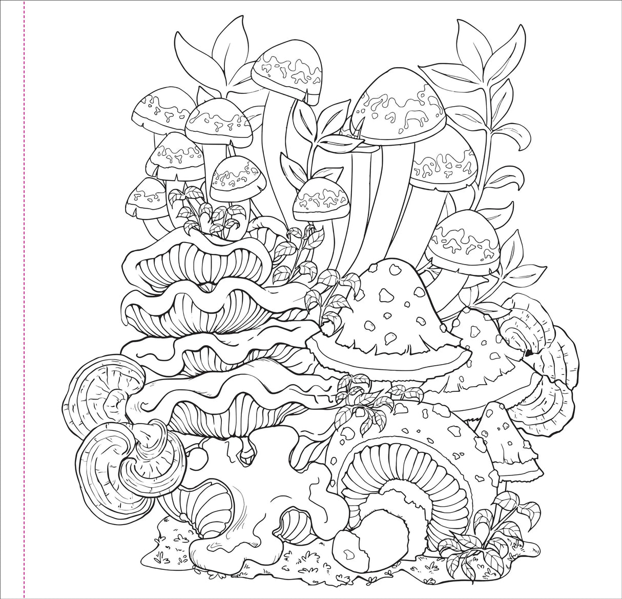 Artist's Colouring Book - Mushrooms