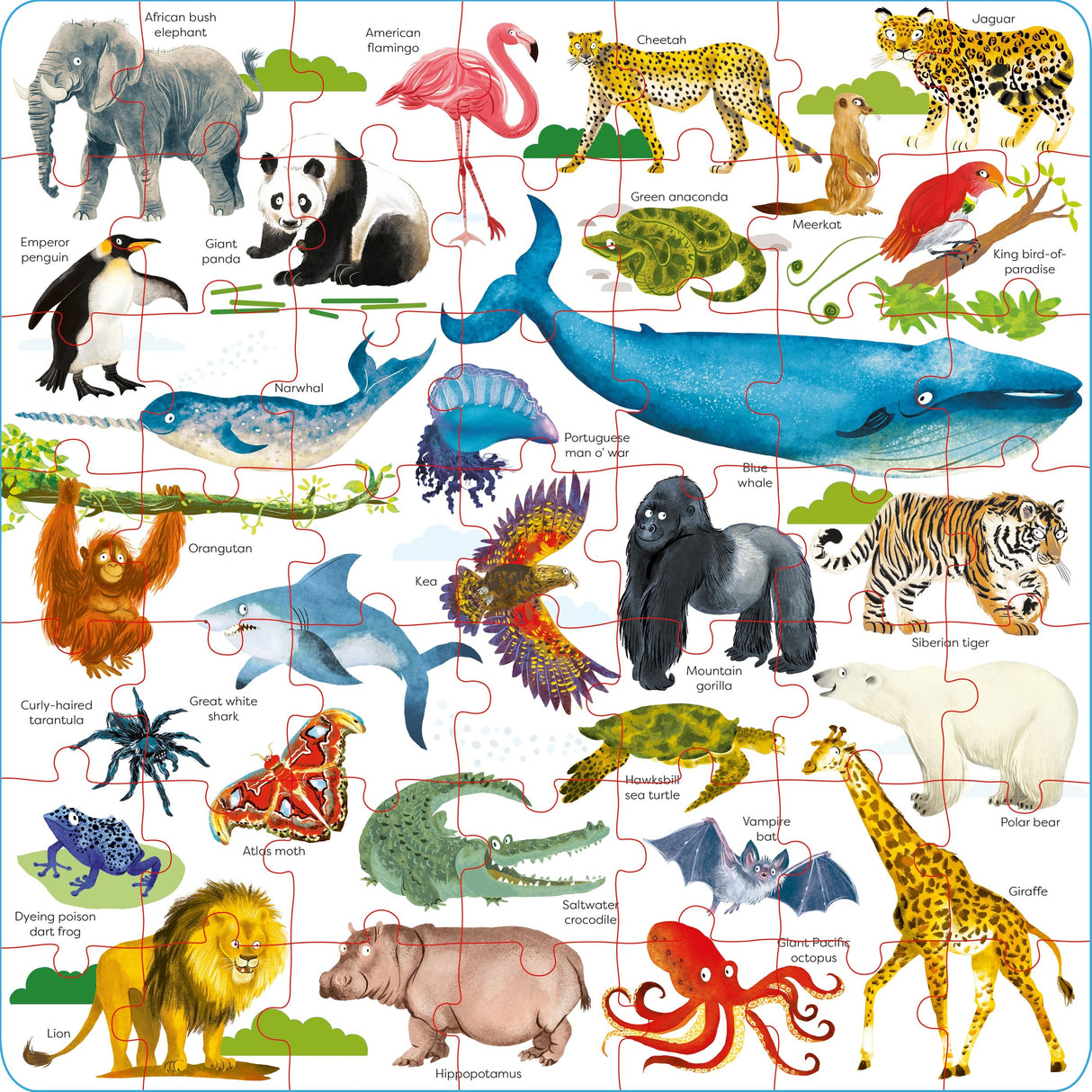 Book & Jigsaw - Wild Animal