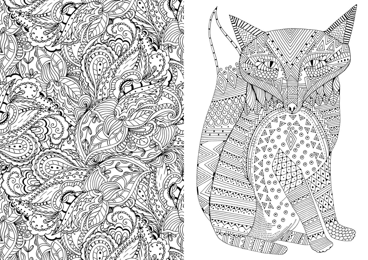 Art Therapy - An Anti-Stress Colouring Book for Adults