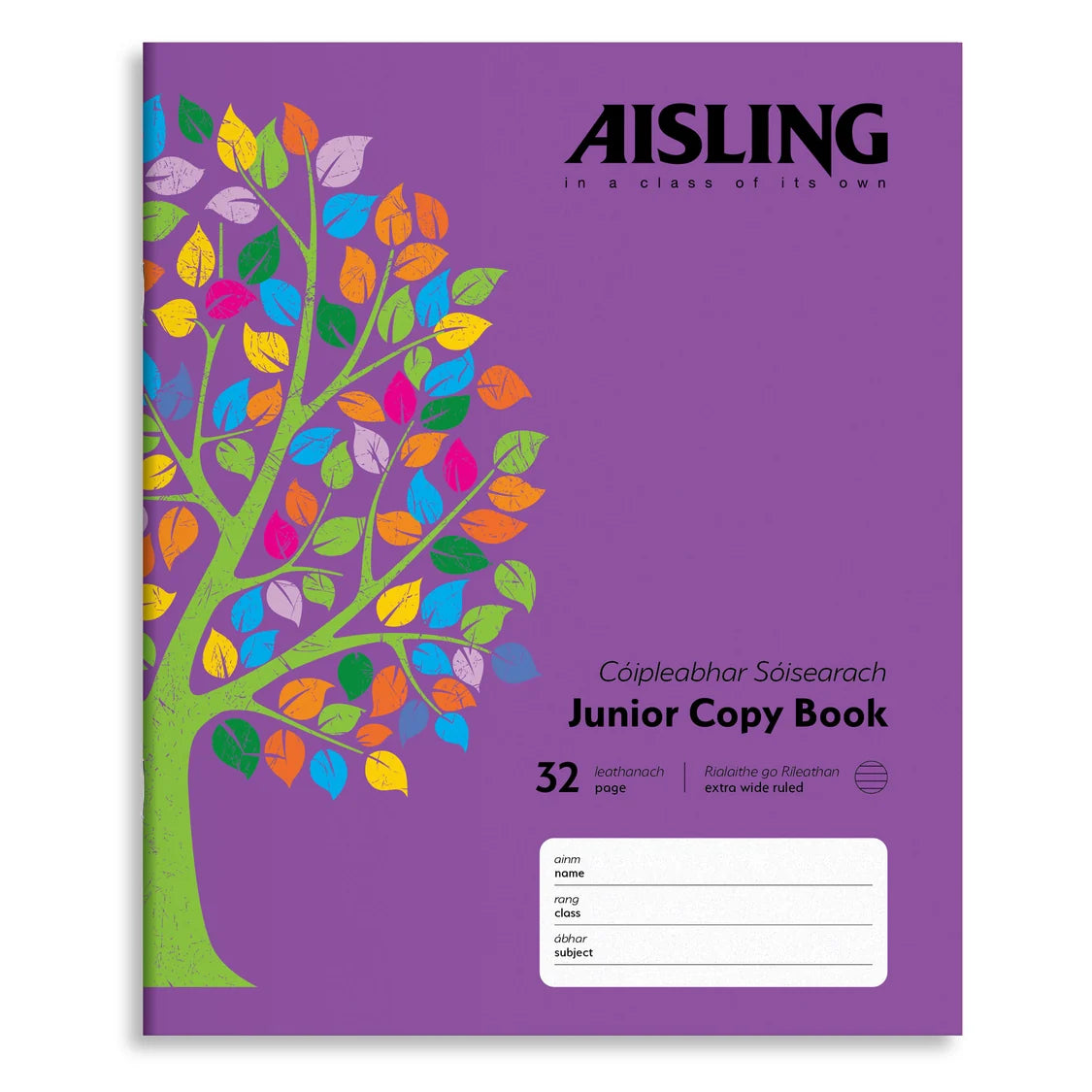 Aisling Junior Writing Copy Book 15mm (10 Pack)