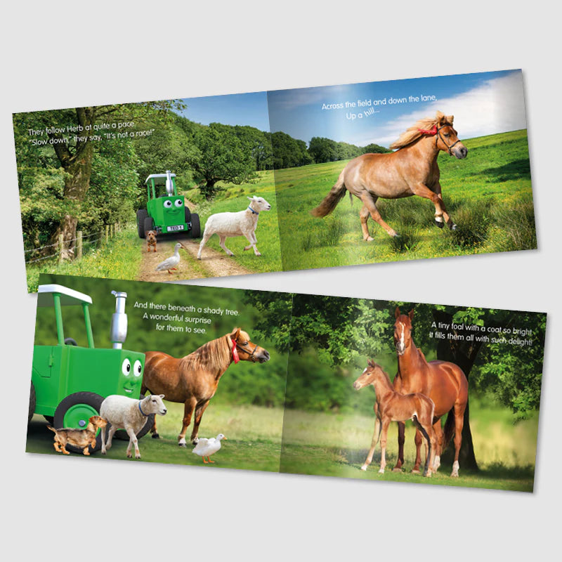 Tractor Ted Story Book - Herbs Surprise