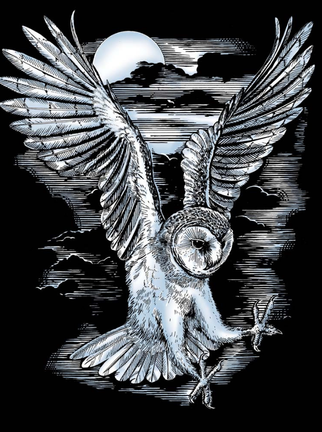 Artfoil Silver Kit - Barn Owl