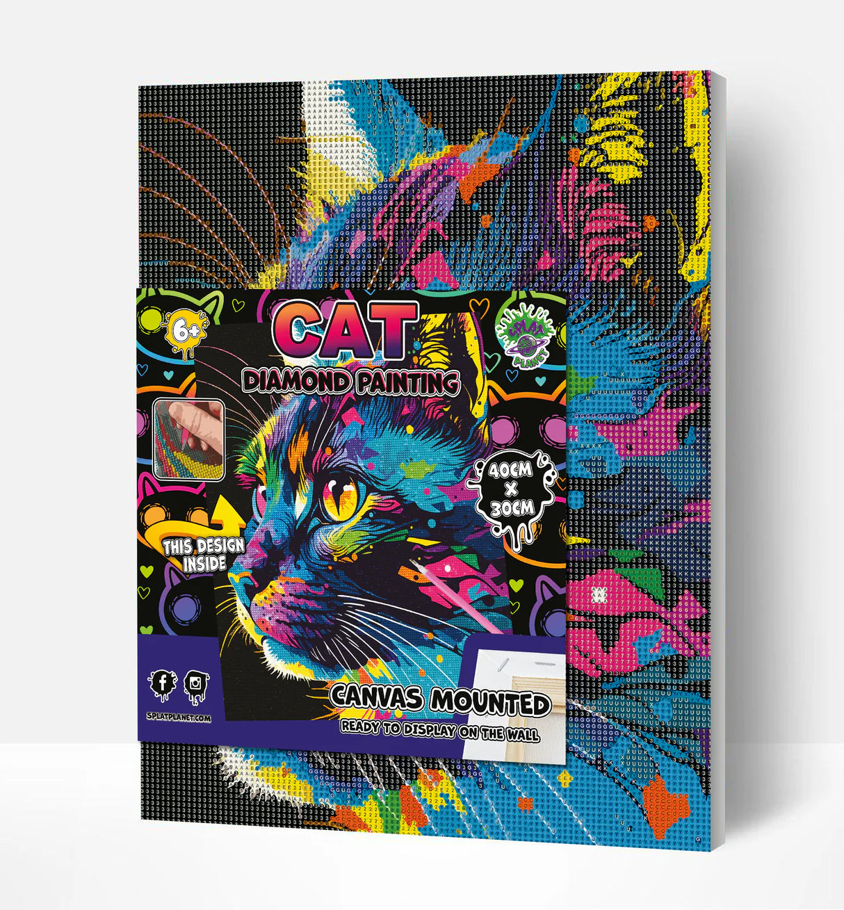 Paint By Numbers Set - Bright Coloured Cat