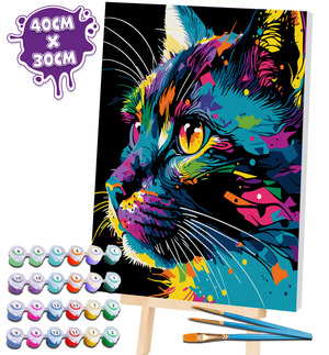 Brightly Coloured Cat Paint By Numbers Splat Planet