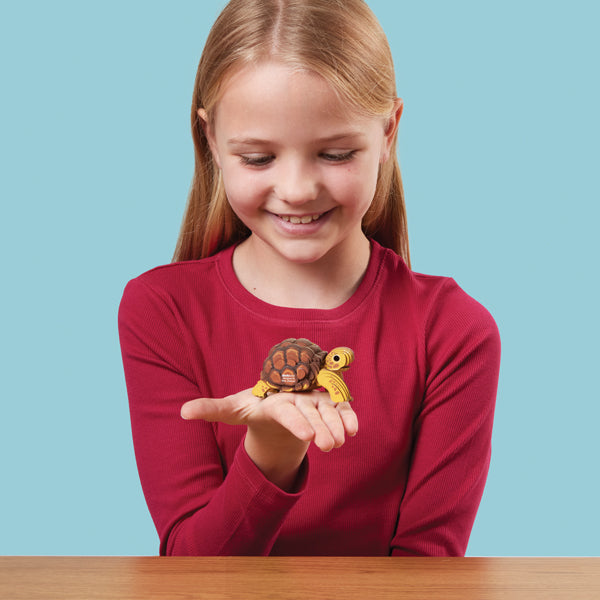 EUGY Tortoise