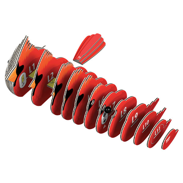 EUGY 068 Cardinal