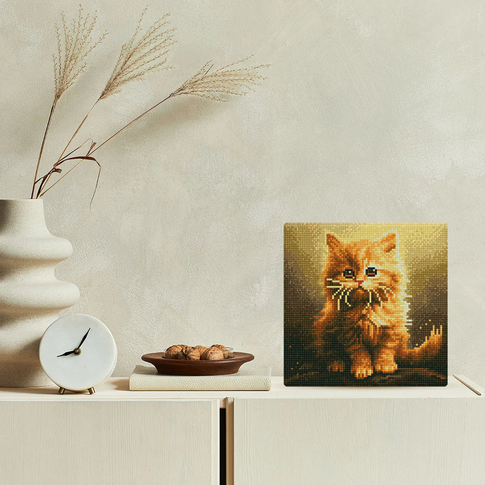 Diamond Art Kit Fluffy Orange Kitten 25X25Cm
