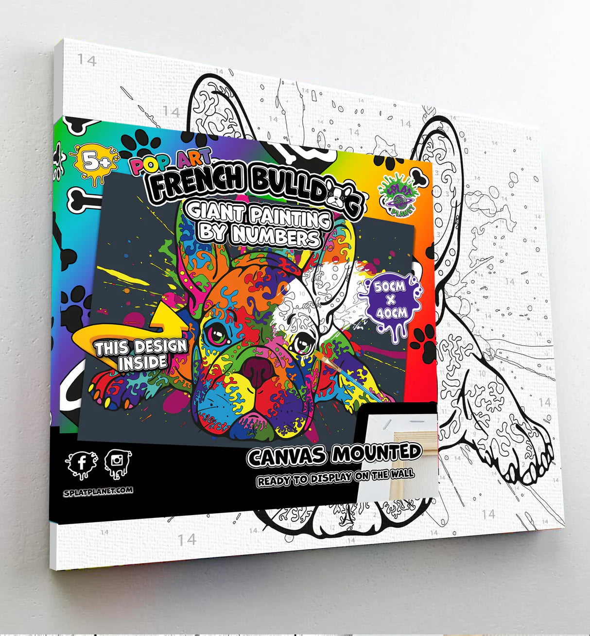 Paint By Numbers Set - French Bulldog