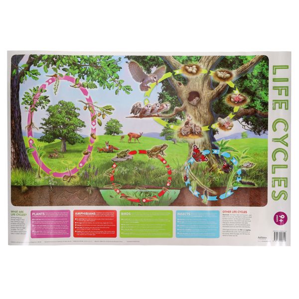 3 Wallcharts - 9+ Nature