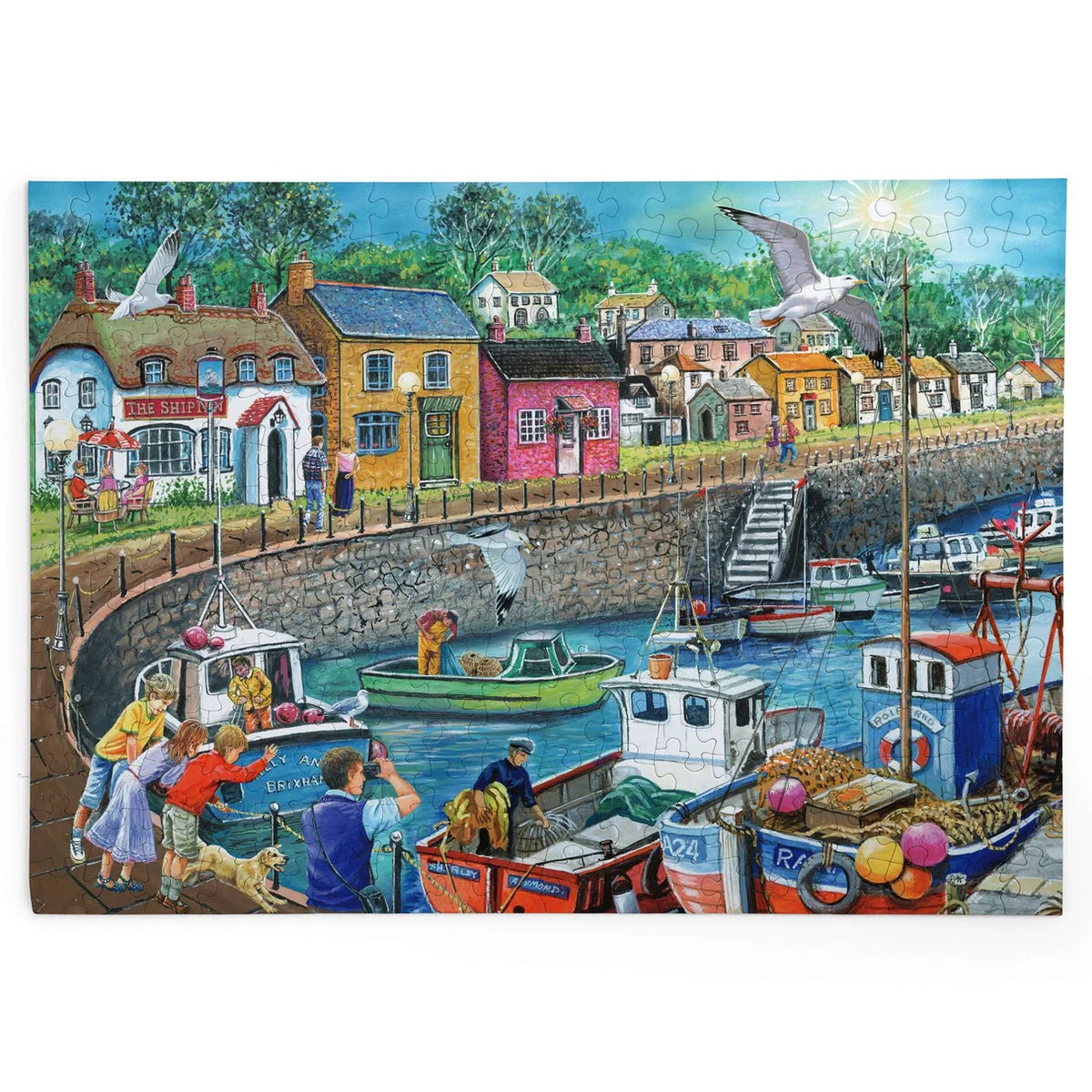 BIG 250 Piece Jigsaw Puzzle - Seagull View
