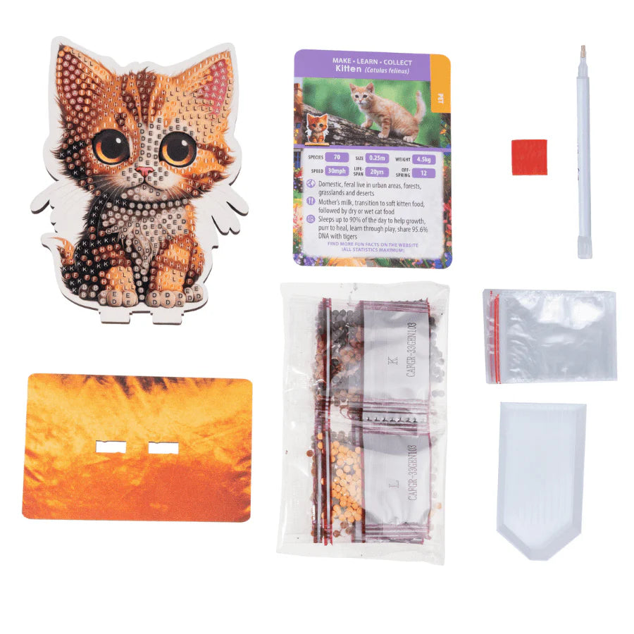 Collection of items including a cat-themed diamond painting kit, packaging, and tools on a white background.
