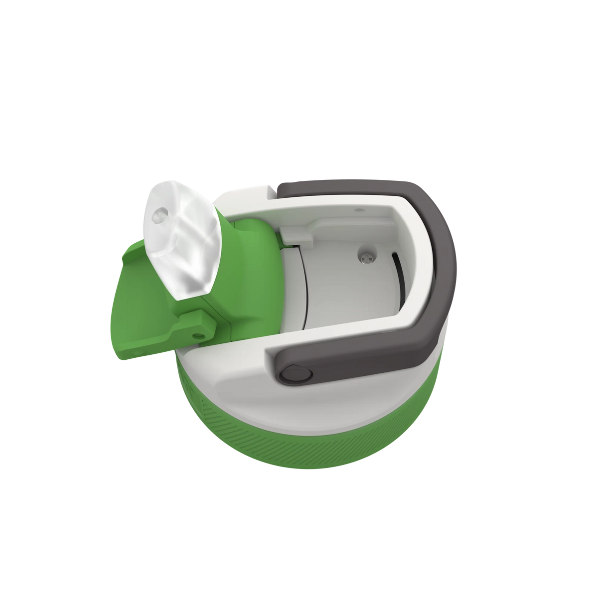 BPA free water bottle with Straw lid-Crocodile