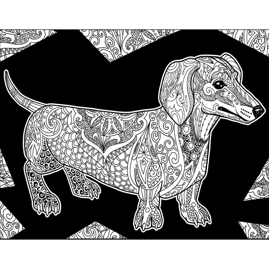 ColorVelvet Small - Dashshund