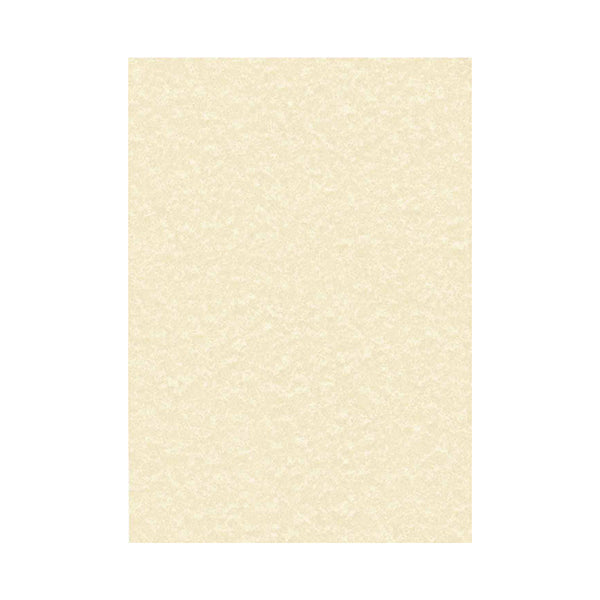 Decadry Parchment A4 Letterhead Paper 95gsm Champagne (Pack of 100) PCL1601