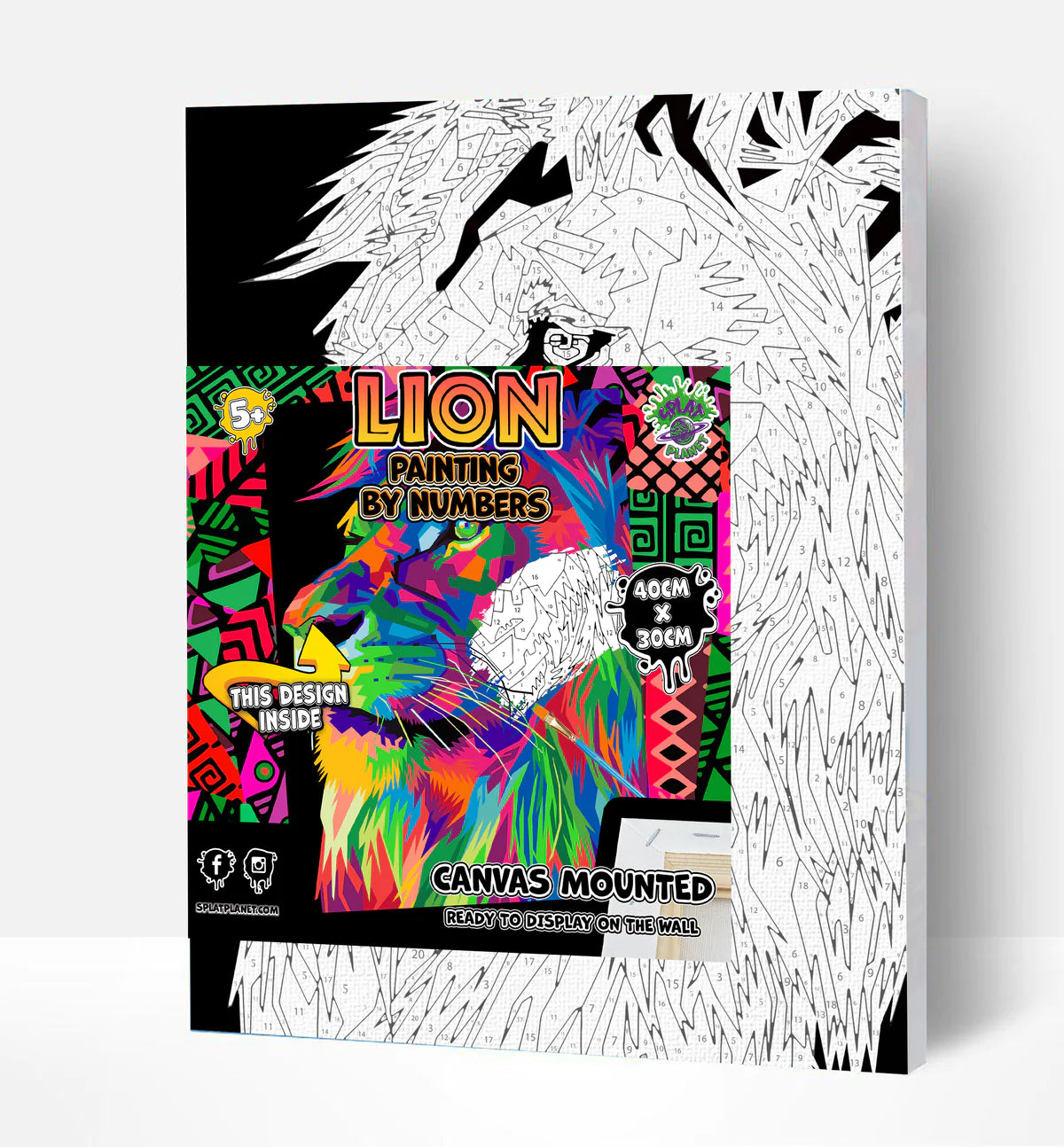 Lion Paint By Numbers