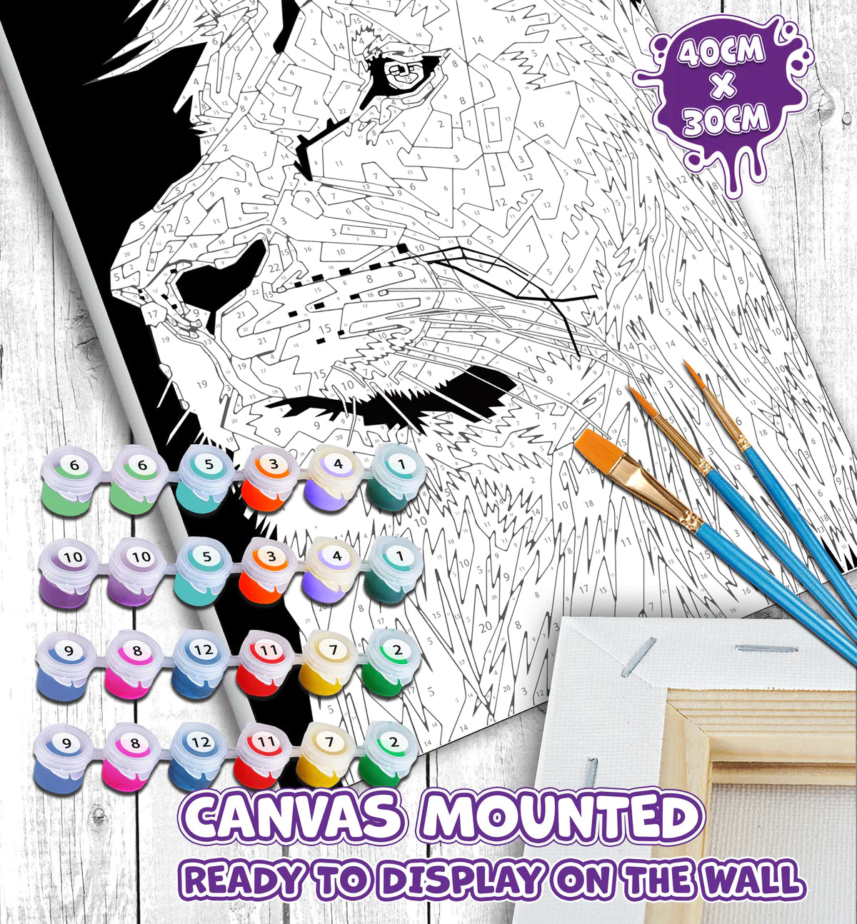 Lion Paint By Numbers