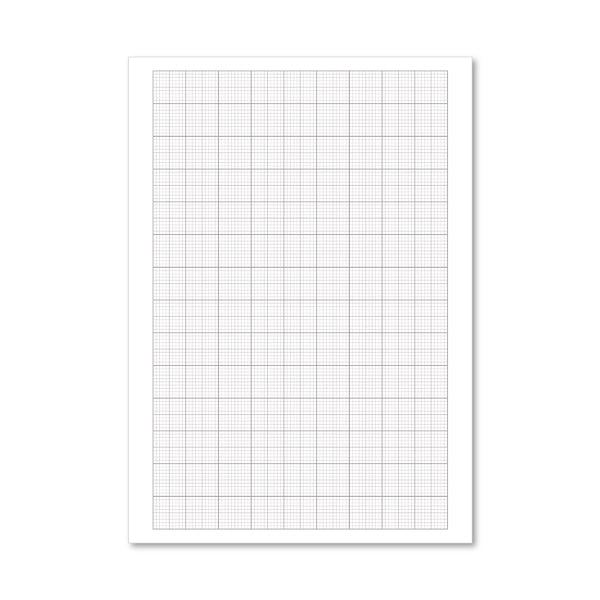 Loose Leaf Graph Paper A4 (500 Pack) 100103410