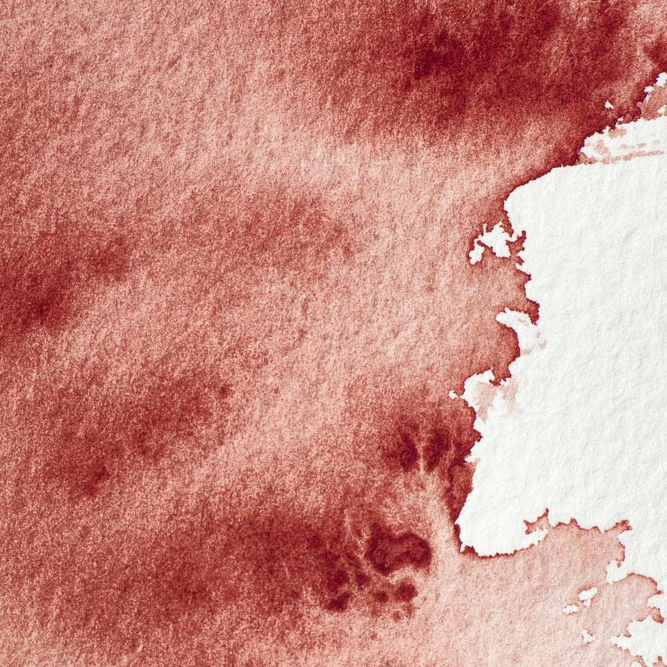 Professional Watercolour Brown Madder