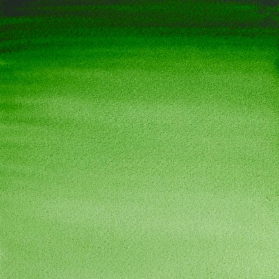 Professional Watercolour Hookers Green