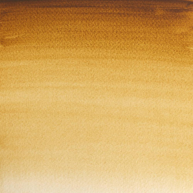 Professional Watercolour Raw Umber