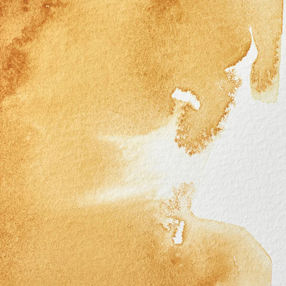 Professional Watercolour Series 1 5ml - Raw Sienna