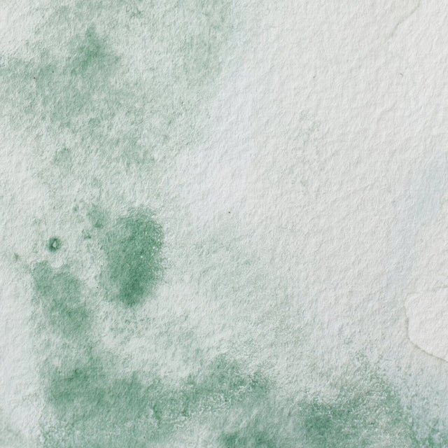 Professional Watercolour Series 1 5ml - Terre Verte