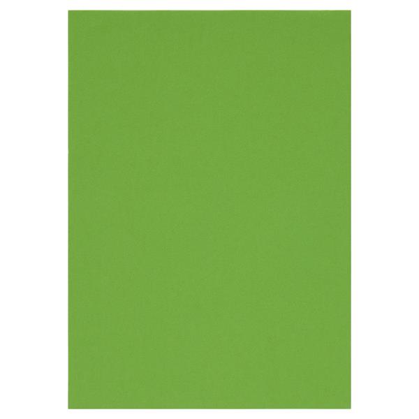 Premier A4 160g Activity Card 50 sheets- Parrot Green