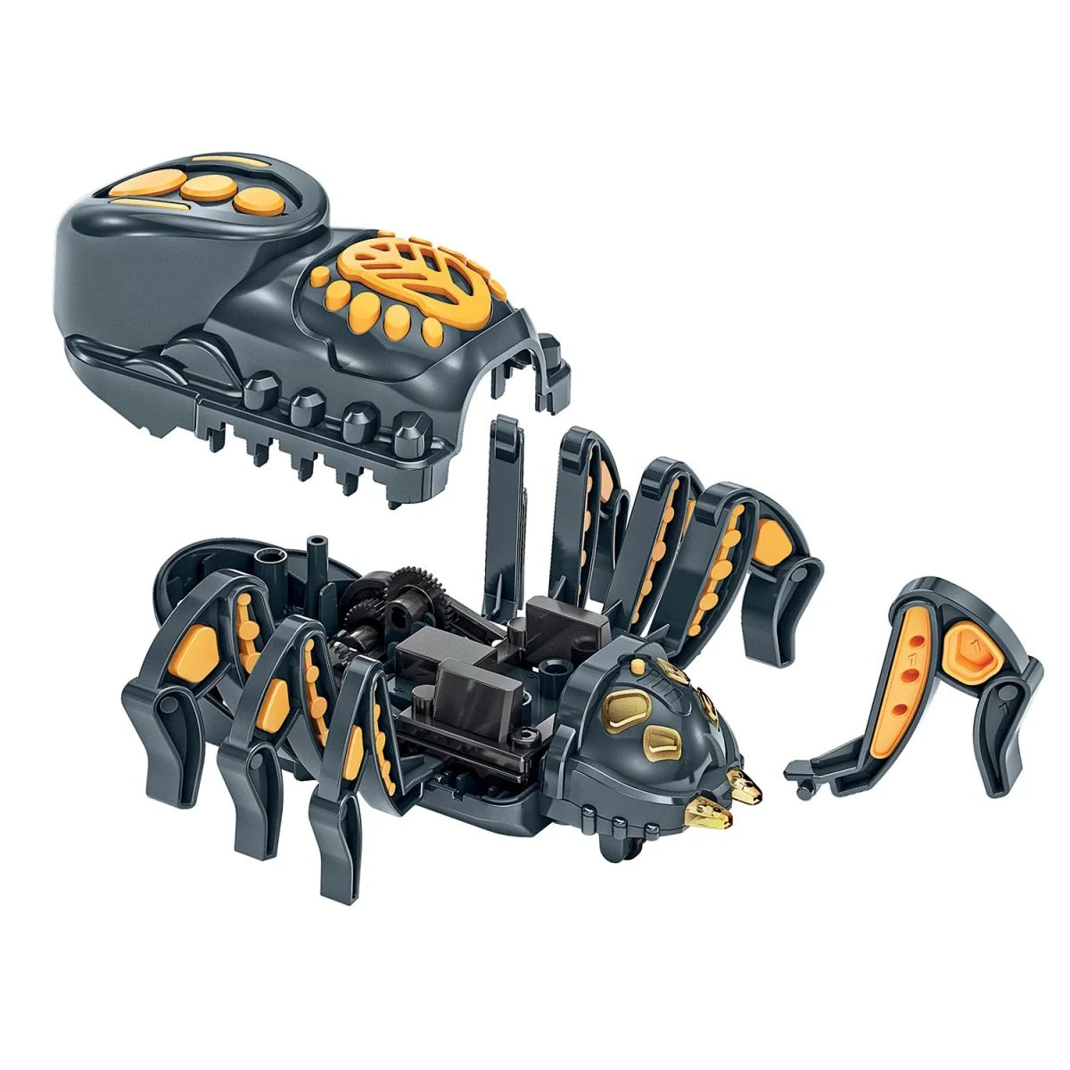 Anibots - Spider Crawl