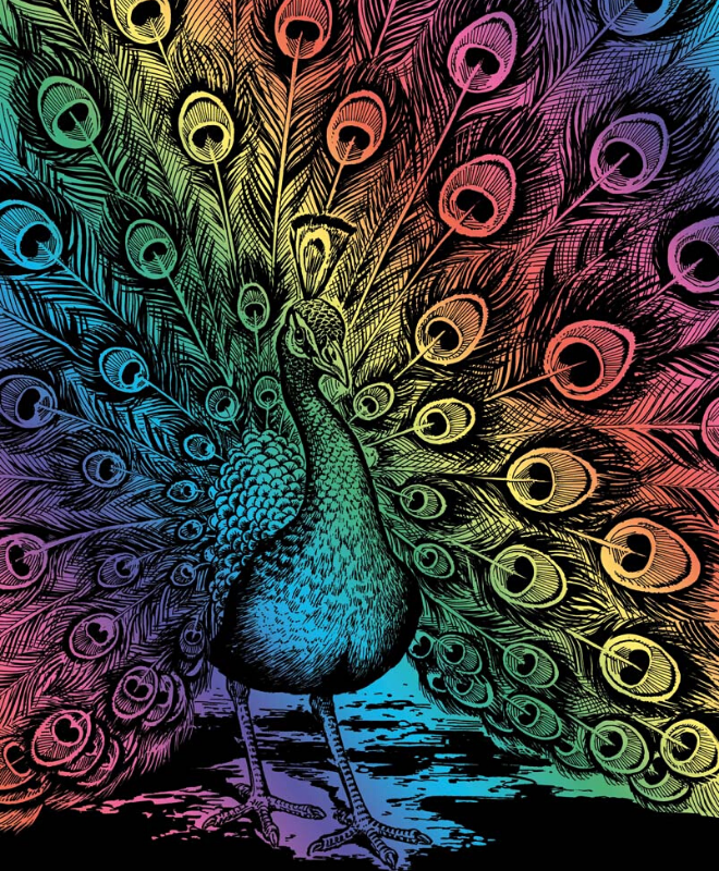 Artfoil Rainbow Kit - Peacock