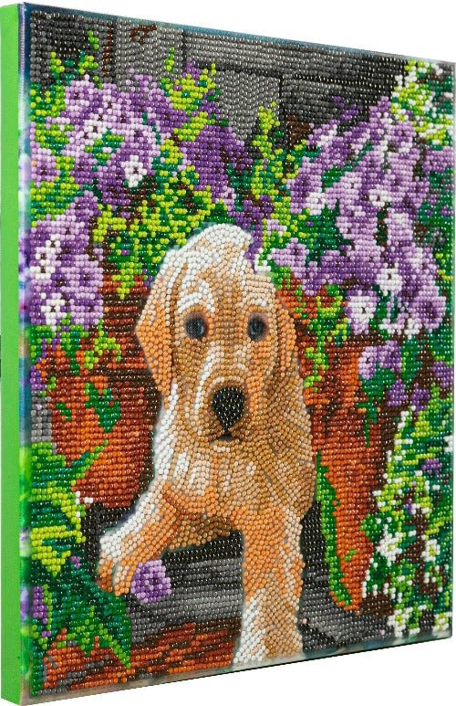 Crystal Art Canvas Kit 30x30cm - Floral Pup