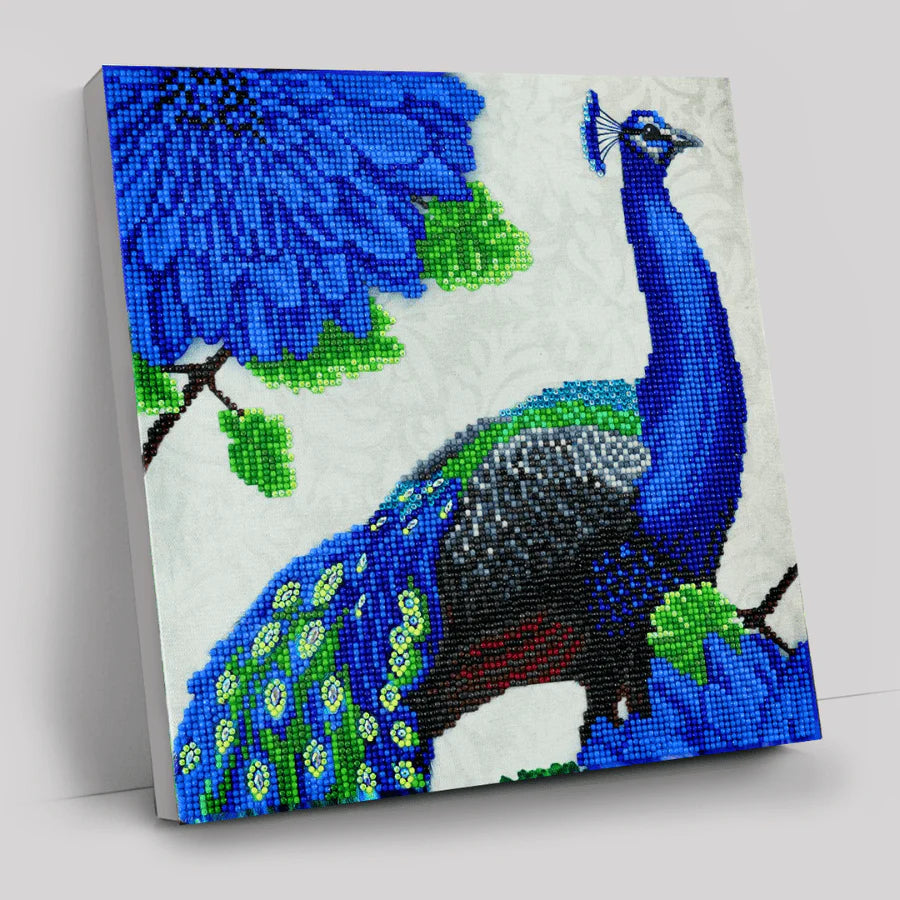 Crystal Art Canvas Kit 30x30cm - Flowering Peacock