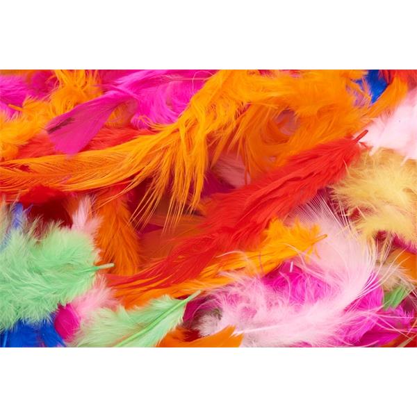 Bag Feathers 7g - Bright Colours