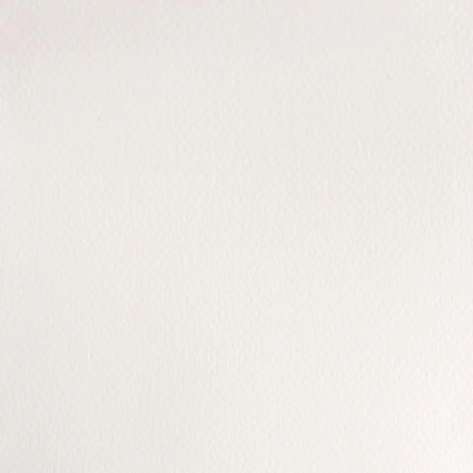 WN Professional Watercolour Chinese White