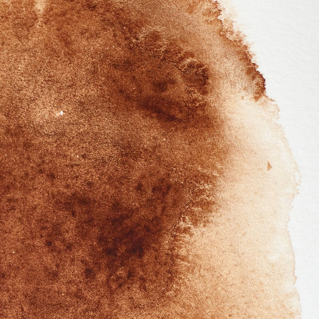 Winsor & Newton Professional Watercolour Burnt Umber