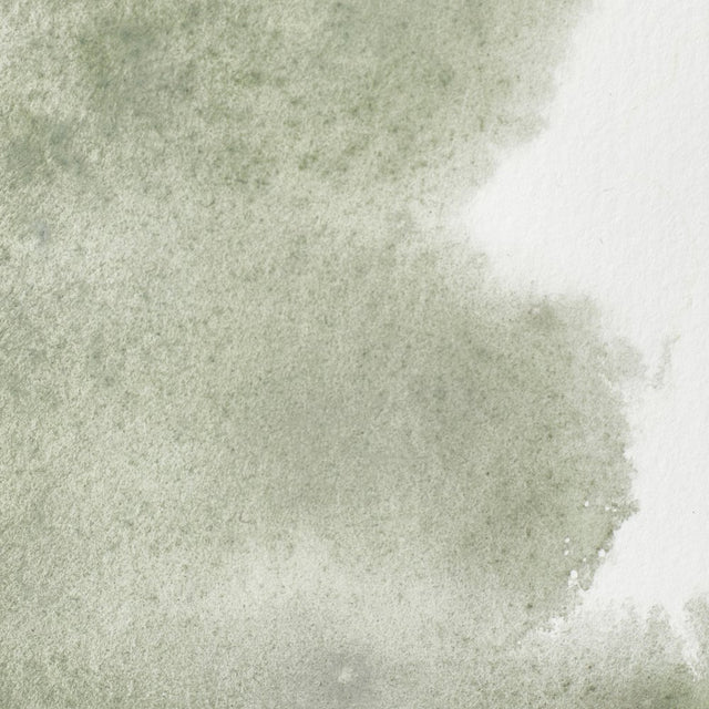 Winsor & Newton Professional Watercolour Davys Gray