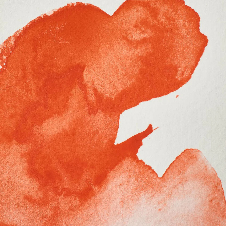 Winsor & Newton Professional Watercolour Fields Orange