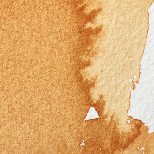 Winsor & Newton Professional Watercolour Gold Ochre